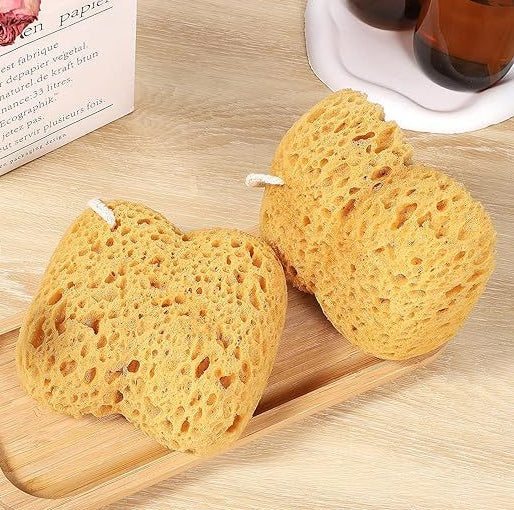 Bath Sea Sponges