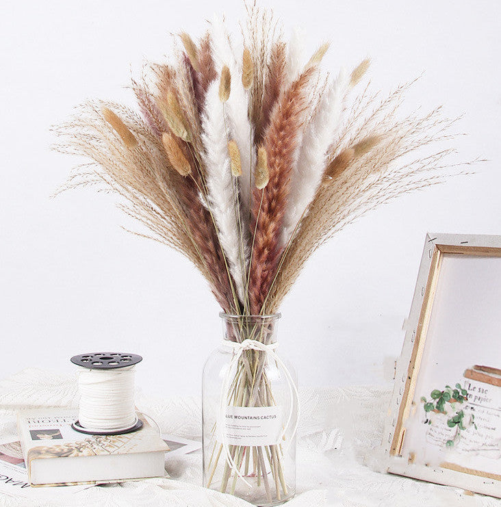 Bouquet of dried pampas grass in a clear glass vase on a white surface with a white background