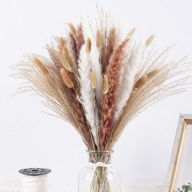 Dried Pampas Grass Boho Decor 15 Pcs
