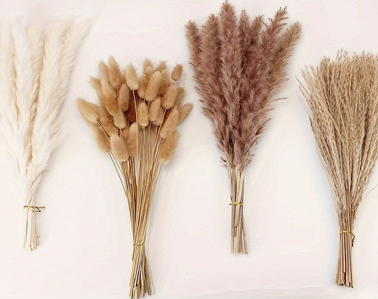 Dried Reed Grass and Pampas Grass 100 Pcs