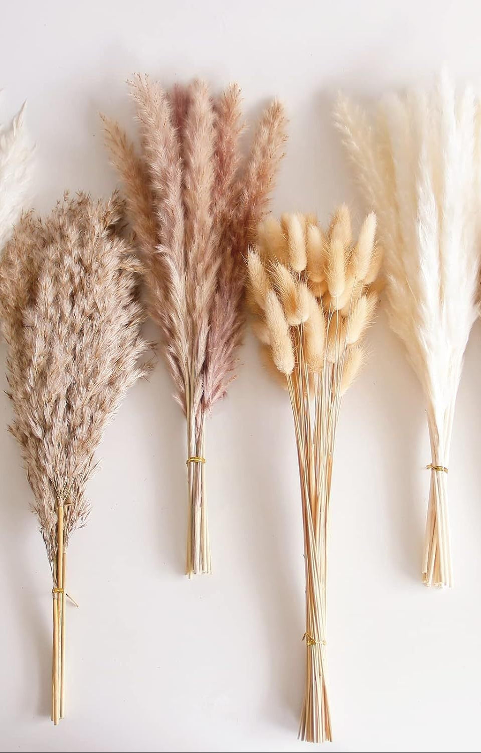 Dried Reed Grass and Pampas Grass 100 Pcs
