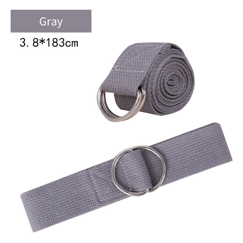 Gray belt with silver rings on a white background