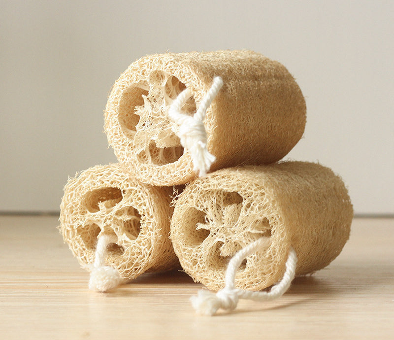 Absorbent Loofahs Set