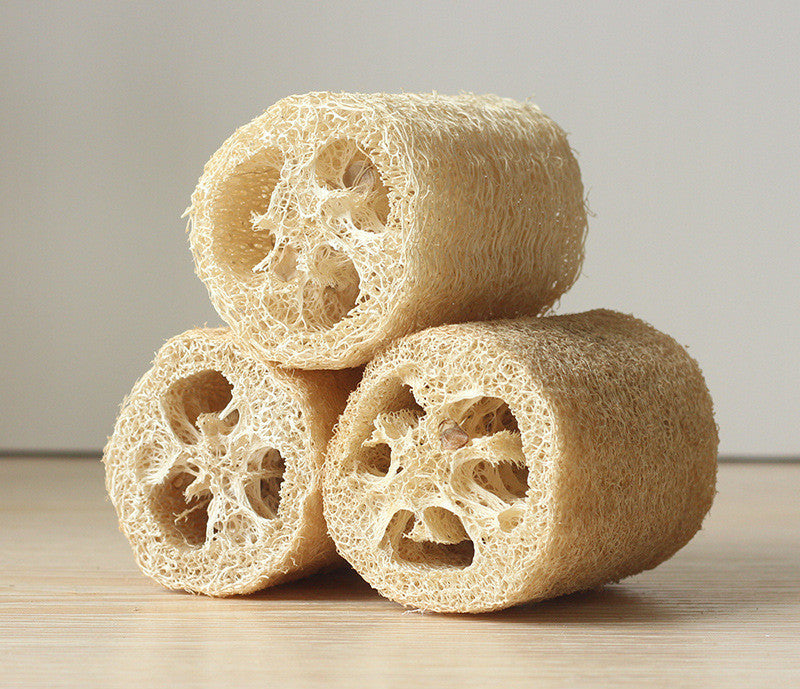 Absorbent Loofahs Sets