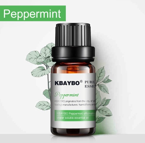KBAYBO peppermint essential oil bottle with leaves on a white background