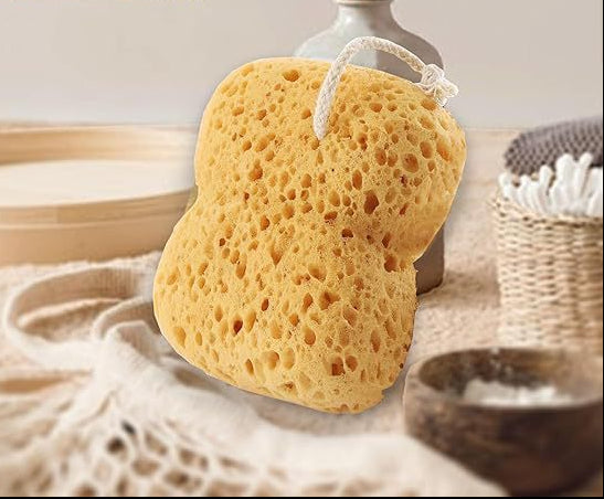 Bath Sea Sponges sea