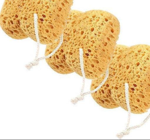 Bath Sea Sponges