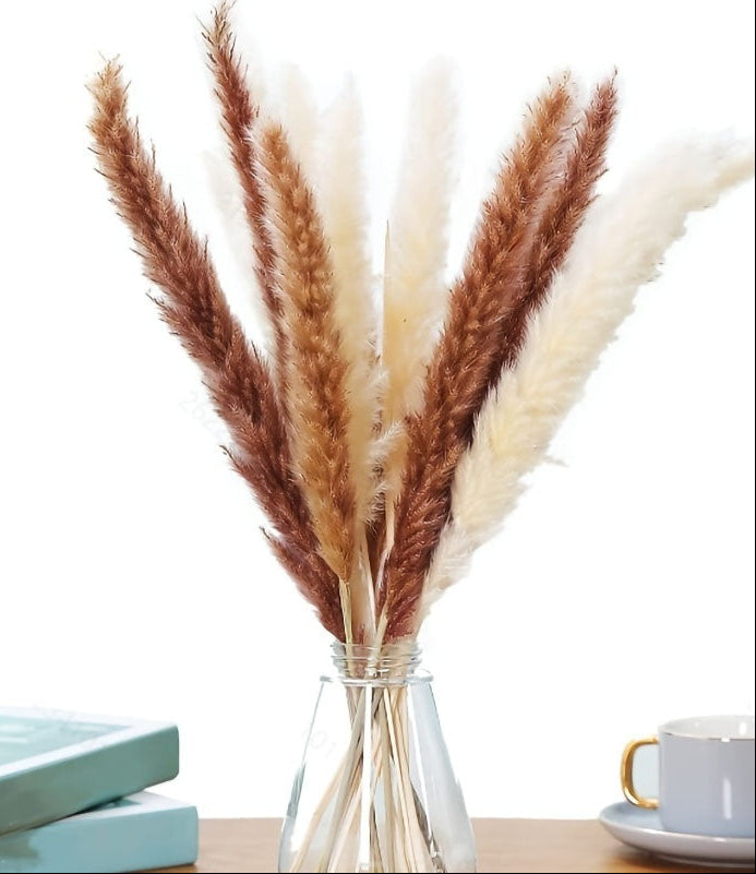 Clear glass vase with pampas grass on a light surface with books and a cup in the background