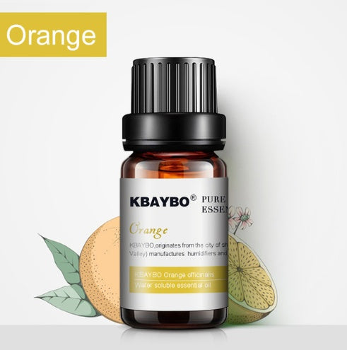 KBAYBO orange essential oil bottle with botanical elements on a white background